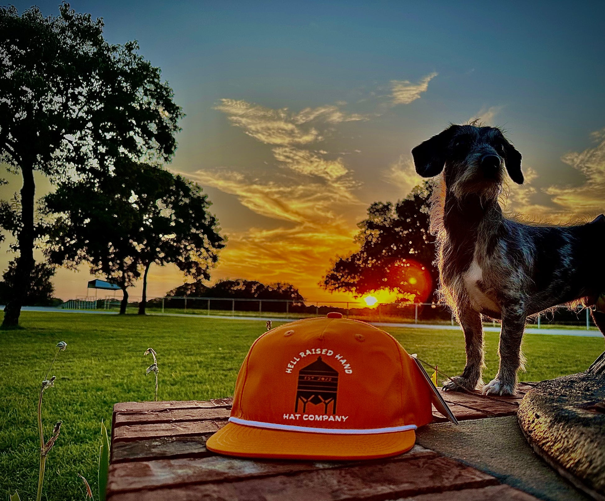 The “Ain’t No Bottom Feeder” – HellRaisedHand